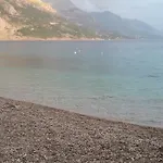 Nora